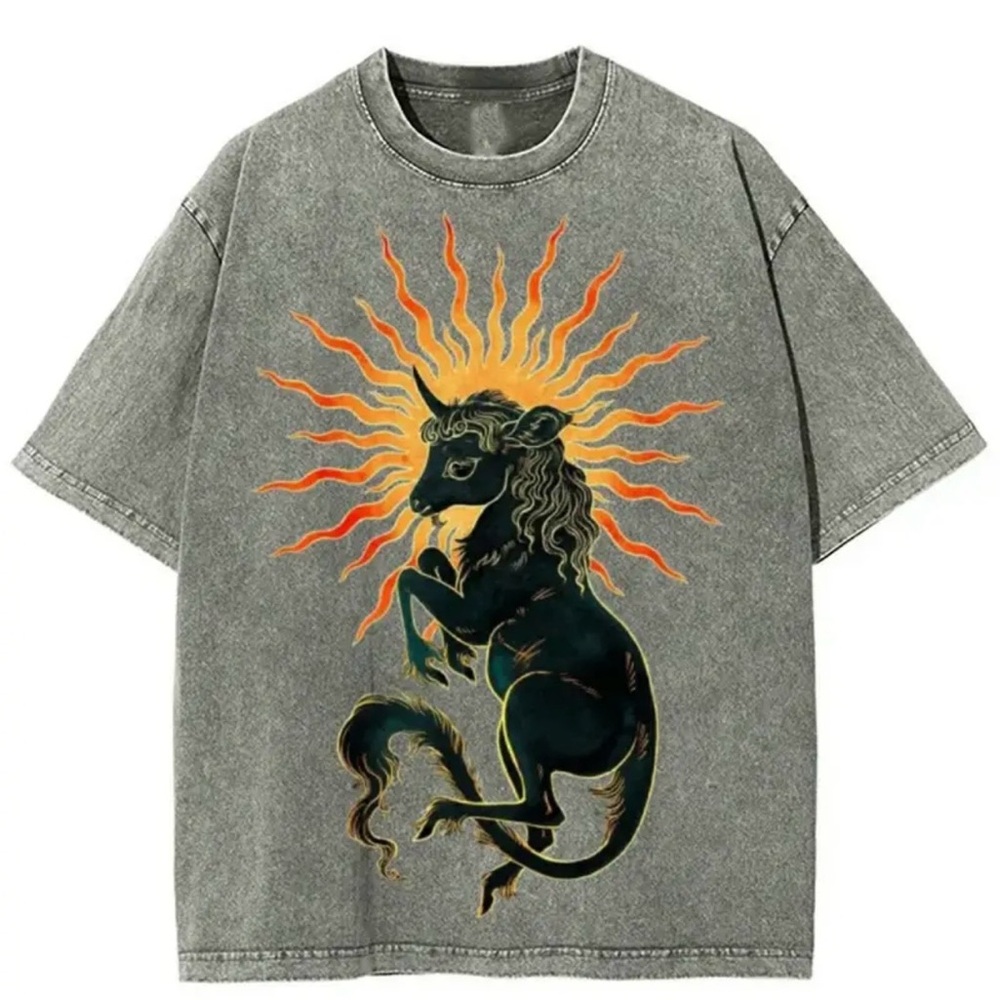 Gray T-Shirt with Sun and Horse Design